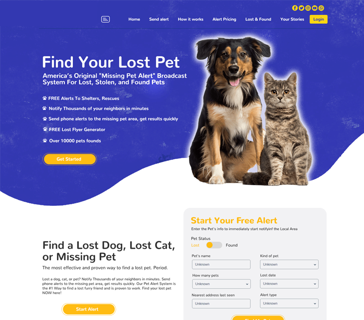 Dog Website Design