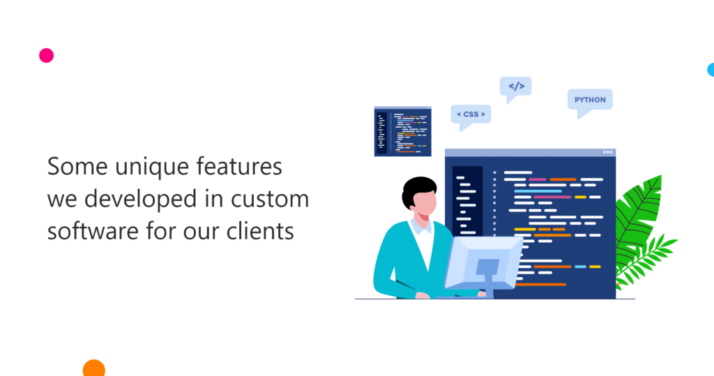 some uinique features of custom software